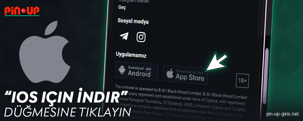 Pin Up Türkiye'de iOS üzerindeki İndir düğmesine tıklayın