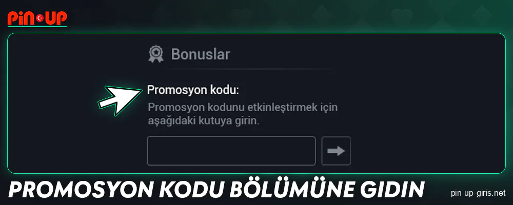 Pin Up TR promosyon kodu bölümüne gidin